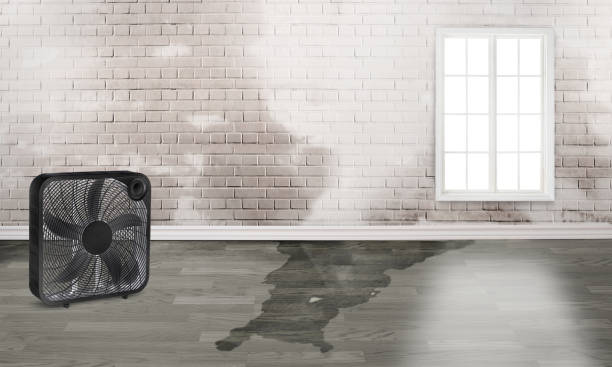 Chapman, KS Water damage restoration Company