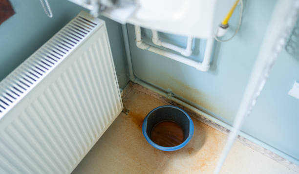 Best Basement water damage restoration  in Chapman, KS