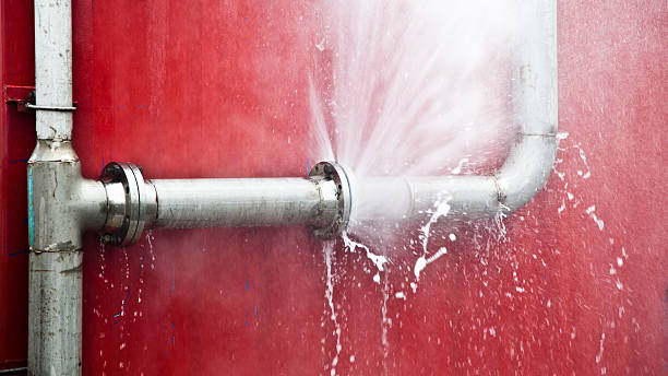 Best Water damage restoration mold remediation  in Chapman, KS